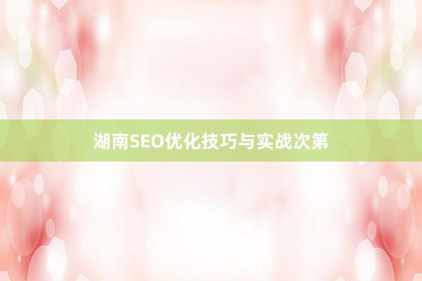 湖南SEO优化技巧与实战次第